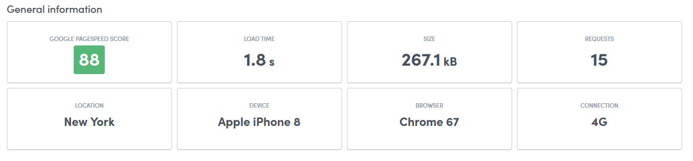 Figure 2: General test results including the Google PageSpeed Insights score.